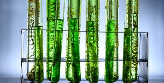 Application de Bioréacteur Fermenteur in Biocarburants et énergies renouvelables